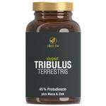 Vitactiv Natural Nutrition Tribulus Terrestris