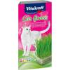 Katzengras von Vitakraft