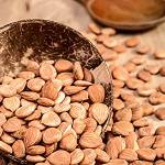 Vitalesia Aprikosenkerne