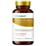 Vitalplant Panax Ginseng