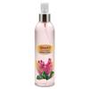 Blattpflege Vitalspray für Orchideen 731076 von Seramis