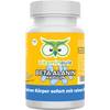 Beta-Alanin von Vitamineule