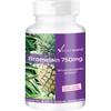 Bromelain 750mg von Vitamintrend