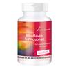 Riboflavin von Vitamintrend