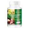 Rosskastanien Extrakt von Vitamintrend