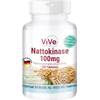 Nattokinase von ViVe Supplements