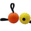 Robustes Hundespielzeug von Vivifying