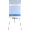 Whiteboard von VIZ-PRO