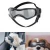 Sonnenbrille für Hunde von Voarge