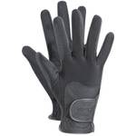 Waldhausen Metropolitan