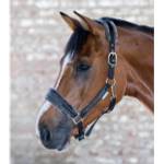 Waldhausen W-HA-50473-BK-C
