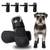 Wanderpfote Hundeschuhe