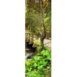 wandmotiv24 M0397-TT-S-70