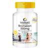 Bromelain 500mg 1200 F.I.P, natürliches Ananasenzym, 250 Tabletten, Großpackung von Warnke