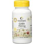 Warnke - GABA