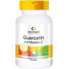 Quercetin von Warnke
