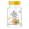 Nattokinase von Warnke