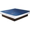 2 x Wasserkern von Wasserbetten Palast