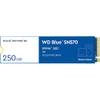 WDS250G3B0C von Western Digital