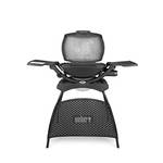 Weber Q2000  Gasgrill mit Stand