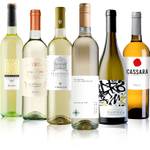 The Wine Guys Weißweinreise durch Italien