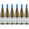 Sauvignon Blanc von Weingut Metzger
