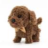 Labradoodle von WEofferwhatYOUwant