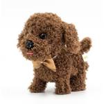 WeofferwhatYOUwant Labradoodle