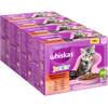 Junior ‎case443680 von Whiskas