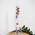 Galileo-Thermometer von Widdop Bingham