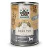 Adult Ziege pur von Wildes Land