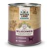 Adult Wildschwein von Wildes Land