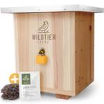 Wildtier Liebe Hummelhaus Natur