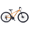 Stahl-Mountainbike WT037 von Wildtrak