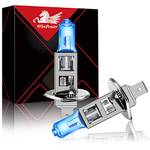 Winpower DZG-H1-100W