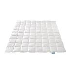 Xdream 29020001140