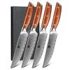4-teilig Steakmesser Set von Xinzuo