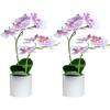 Orchideenblumen von XONOR