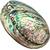 Xudrez  Abalone-Meeresmuschel