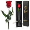 Infinity Rose von Yamonic