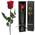 Infinity Rose von Yamonic