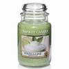 Vanilla Lime von Yankee Candle