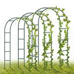 Yaobluesea Rosenbogen