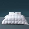 Komfort Winter Daunendecke 03 von YLT