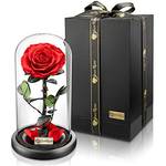 YourRoses Premium Rose