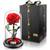 YourRoses Premium Rose