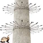 Yunli Katzenabwehrgürtel