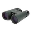 Terra ED 10x42 Grün von Zeiss
