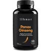 Panax Ginseng von Zenement