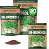 Bio Ur-Brokkoli Sprossen Samen von ZenGreens